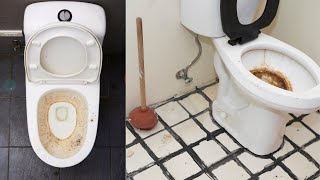 How to Remove HARD WATER STAINS from Toilet Bowl in 3 MINUTES  Cleaning Hacks  Andrea Jean [upl. by Hortense528]