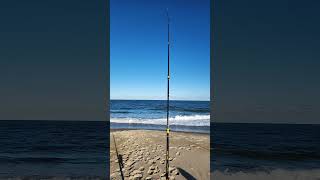 Surf fishing Bethany Beach fishing saltine outdoors [upl. by Ahsropal6]