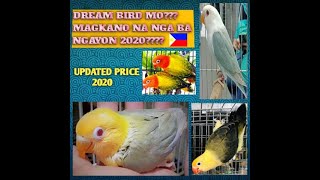 UPDATED PRICE LIST OF AFRICAN LOVEBIRDS OF THE PHILIPPINE LOCAL MARKET YEAR 2020 [upl. by Ludmilla]