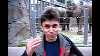 First YouTube Video  Me at the zoo By Jawed Karim  YouTube CoFounder [upl. by Born721]