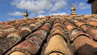 Day 9 Azofra to Viloria de Rioja Camino Frances [upl. by Raila]