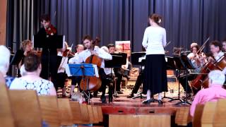 quotErbarme dichquot Matthäus Passion JSBach Violin and Cello arrangement [upl. by Ailekahs]