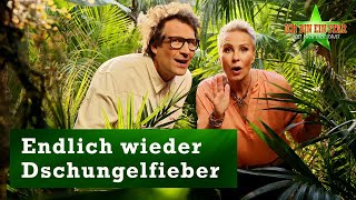 Trailer Endlich wieder Dschungel 🐜🌴  in Südafrika  Ab dem 21 Januar bei RTL und auf RTL [upl. by Cele]