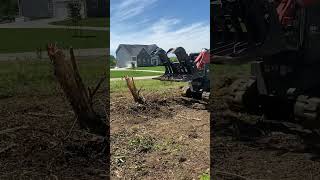 Skid steer removing stumps [upl. by Cheatham]