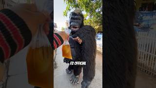 Kingkong Raksasa dikasih minum es teh jus [upl. by Mariellen]