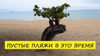 Вьетнам Нячанг погода сегодня 4 ноября 2024 года ❤️ ПУСТЫЕ ПЛЯЖИ В ЭТО ВРЕМЯ [upl. by Acimot906]