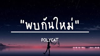 พบกันใหม่  POLYCAT เนื้อเพลง [upl. by Eamanna]