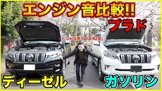 【エンジン音比較】ランドクルーザープラドのディーゼルとガソリンのエンジン音を比較してみた結果、やはりディーゼルは男らしかった笑 [upl. by Selway]