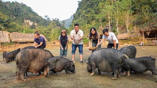 Worlds First Discovery Vlog To Visit Ly Thi Ca Farm amp Residence [upl. by Naira]