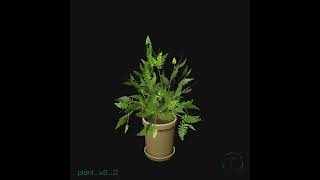 Indoor Plants V8 unityassetstore 3dmodeling gamedev unity speedtree 3denvironment [upl. by Moody]