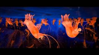 Happy Feet Two  Under Pressure Scene HD [upl. by Nehgem]