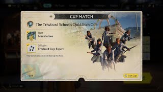 Triwizard Cup Beauxbatons Expert Harry Potter Quidditch Champions Gameplay [upl. by Laniger]