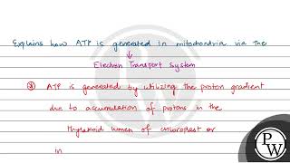 Chemiosmotic theory of ATP synthesis in chloroplasts and mitochondria is based on [upl. by Stempson621]