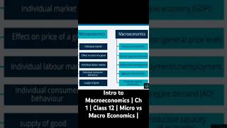 Introduction to Micro amp Macro Economics Class 12  Differences  Key Takeaways economicsclass12 [upl. by Gyimah]