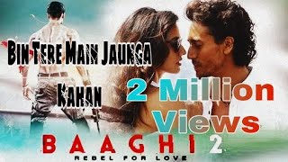 Bin Tere Main Jaunga Kanha  Baaghi 2 Song  Ash Vblog [upl. by Birgit]