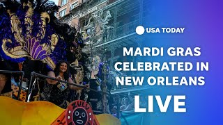 Watch New Orleans celebrates morning Mardi Gras festivities [upl. by Avevoneg558]