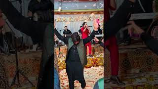 Dil karda navin suite by Mazhar Rahi live performance  wedding show [upl. by Nicko]