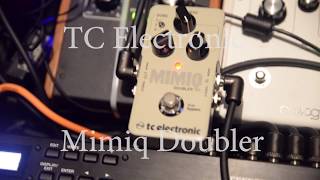 Tc Electronic quotMimiq Doublerquot Bass Demo [upl. by Ened747]