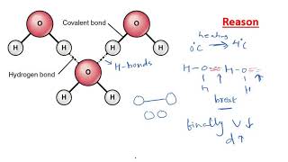 Anomalous expansion of water Boon to aquatic animals in cold regions [upl. by Bore]