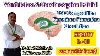 Ventricles  Cerebrospinal Fluid CSF  Human Anatomy amp PhysiologyII  BP201T  L11 [upl. by Harmonie926]