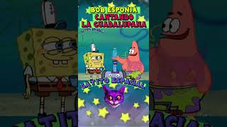 BOB ESPONJA CANTANDO LA GUADALUPANA  BOB ESPONJA 2X08 gatitoespaciall bobesponja caricaturas [upl. by Bergmans]