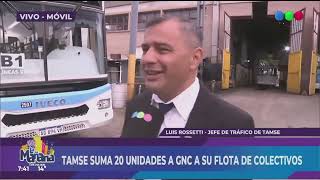 TAMSE SUMA 20 UNIDADES A GNC A SU FLOTA DE BUSES [upl. by Pasahow]