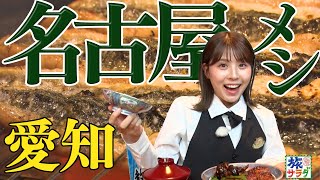 【ふわトロ】名古屋の名物グルメを食べまくる！ [upl. by Oirram]