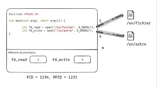 Tuto programmation Linux  appels systèmes  open read write fork pipe [upl. by Annet]