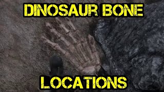 Dinosaur Bone at Heartlands Northern Boundary RDR2 DinosaurBones [upl. by Soisanahta]