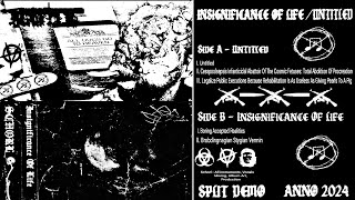 Schorl  UntitledInsignificance Of Life  Split Project Demo [upl. by Graehl]