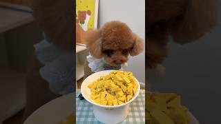 Triangularshaped cheese fruit and vegetable teething granules rich in nutrients dog puppy pet [upl. by Onder]