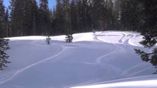 Snowbird Cat Skiing [upl. by Korie]