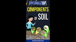 Soil  Components of Soil  Properties of Soil  Types of Soil  Science shorts [upl. by Box]