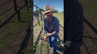 Wisdom and aggravation…😏workingwithdad relatable funny hotwire electricfence ranchlife fyp [upl. by Maurilla474]