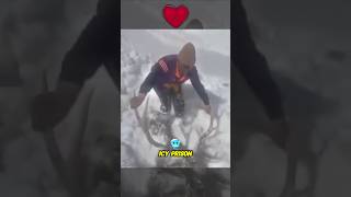 Soldier Rescue Life of Frozen Deer 😱 [upl. by Nnahgaem]