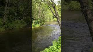 River in Ketchikan Alaska [upl. by Ijies]