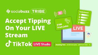 How To Accept Donations On Your LIVE Stream TikTok Live Studio [upl. by Trici688]