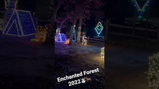 Enchanted Forest Light Show ❄️ 2022 ❄️ [upl. by Chard]