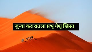 सर्पामुळे वाचलेले [upl. by Tound]