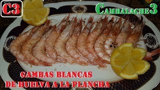 GAMBAS BLANCAS DE HUELVA A LA PLANCHA [upl. by Mini943]