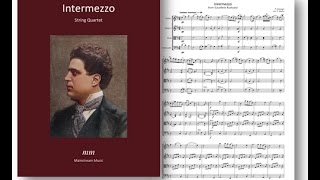 Intermezzo from Cavalleria Rusticana [upl. by Koy649]