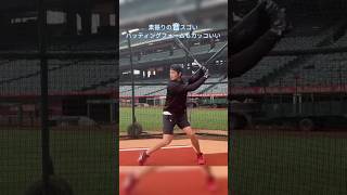 風を切る大谷翔平のバッティングフォーム shorts 大谷翔平 mlb [upl. by Haggai]