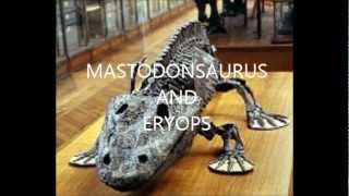 Primitive Amphibians Mastodonsaurus and Eryops [upl. by Lalla]