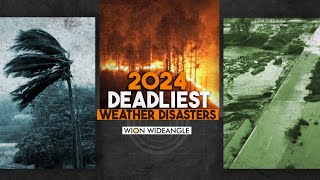 Deadly Cyclone Chido Batters Mayotte  A Look At Floods Heatwaves Of 2024 WION Wideangle [upl. by Weider]