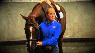 How to Bridle a Horse English [upl. by Leo193]