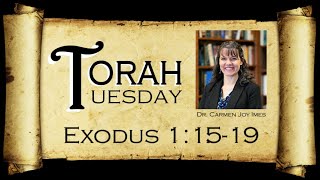 Torah Tuesday  Exodus 11519 [upl. by Ing]