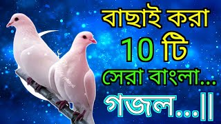 বাছাইকরা ১০ টি সেরা বাংলা গজল  ইসলামিক গজল শান্তির বাণী EarningWallah gojol [upl. by Tnecnev14]