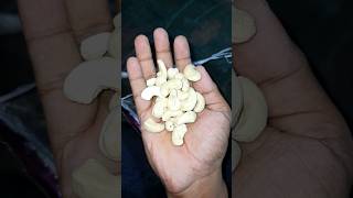 Kaju Badam VS Kath Badam । Cashew VS Almond [upl. by Ostler713]