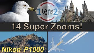 Variety of Nikon COOLPIX P1000 Zoom Tests EP 1 [upl. by Selima994]