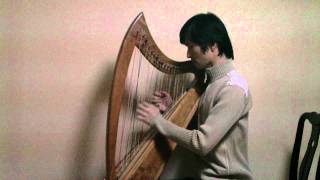 Classical Music WA Mozart Minuet in D Major kv 7 on harp 모차르트 미뉴엣 하프연주 Hunggon Kim [upl. by Ahsik]